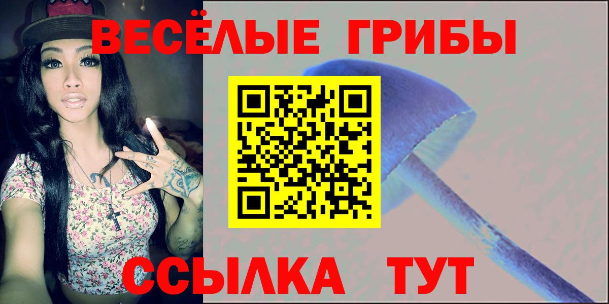 Галлюциногенные грибы Psilocybe  Вход с VPN  Кропоткин 